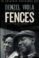 藩篱 Fences