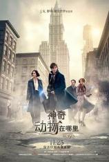 【3D原盘】神奇动物在哪里 Fantastic Beasts and Where to Find Them