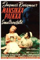 野草莓 Wild Strawberries