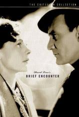 相见恨晚 Brief Encounter