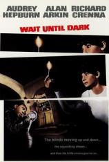 盲女惊魂记 Wait Until Dark