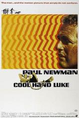 铁窗喋血 Cool Hand Luke