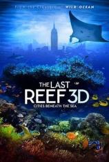 【左右半宽】最后的珊瑚礁 The Last Reef: Cities Beneath the Sea