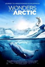 【3D原盘】IMAX：北极奇观 IMAX-Wonders of the Arctic