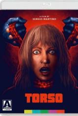 躯干 Torso