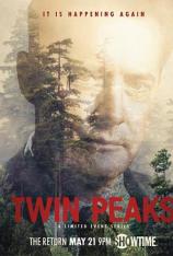 【美剧】双峰镇 第三季 Twin Peaks