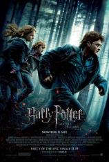 【4K原盘】哈利·波特与死亡圣器(上) Harry Potter and the Deathly Hallows: Part 1