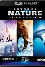 【4K原盘】IMAX：自然生态精选 IMAX Extreme Nature Collection