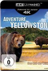 【4K原盘】探险黄石公园 Adventure Yellowstone
