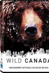 【4K原盘】野性加拿大 Wild Canada