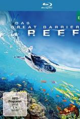 【4K原盘】大堡礁 Great Barrier Reef