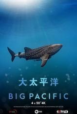 【4K原盘】大太平洋 Big Pacific