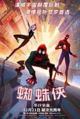 【4K原盘】蜘蛛侠：平行宇宙 Spider-Man: Into the Spider-Verse