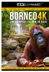 【4K原盘】婆罗洲：亚洲的魅力 Borneo The Fascination of Asia