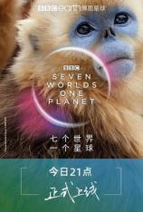 【4K原盘】七个世界，一个星球 Seven Worlds, One Planet