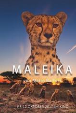 【4K原盘】非洲：动物乐园 Maleika