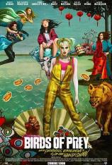 【4K原盘】猛禽小队和哈莉·奎茵 Birds of Prey: And the Fantabulous Emancipation of One Harley Quinn