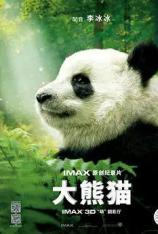 【4K原盘】大熊猫 Pandas