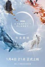【4K原盘】完美星球 A Perfect Planet