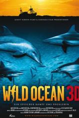 【3D原盘】IMAX：狂野之海 Wild Ocean 3D