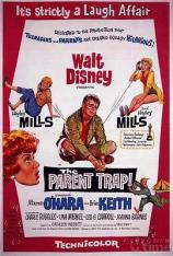 爸爸爱妈妈 The Parent Trap