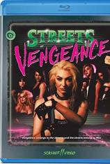 复仇之街 Streets.of.Vengeance