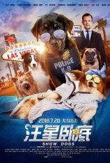 汪星卧底 Show Dogs
