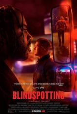 盲点 Blindspotting