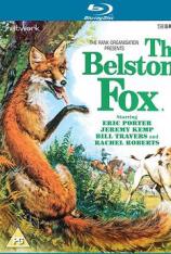 贝尔斯通之狐 The Belstone Fox