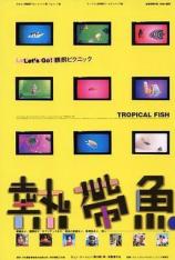 热带鱼 Tropical Fish