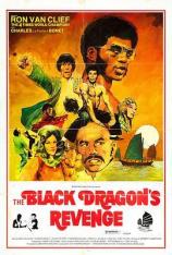 龙争虎斗精武魂 The Black Dragon Revenges the Death of Bruce Lee