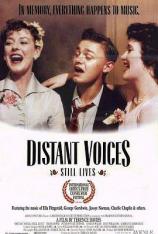 远方的声音 Distant Voices, Still Lives