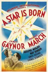 一个明星的诞生 A Star Is Born