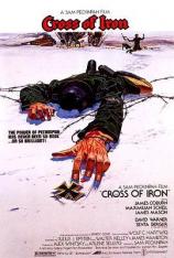 铁十字勋章 Cross of Iron