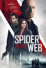网中蜘蛛 Spider In The Web