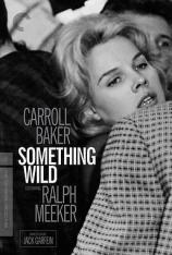 断肠孤凤 Something Wild