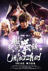 最燃的拳头 Unleashed