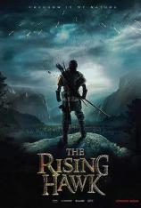 驯鹰者的崛起 The Rising Hawk