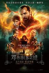 【4K原盘】神奇动物：邓布利多之谜 Fantastic Beasts: The Secrets of Dumbledore