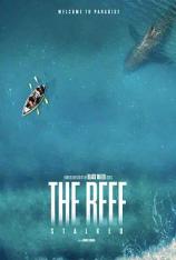 暗礁狂鲨 The Reef: Stalked