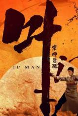 叶问宗师觉醒 Ip Man: The Awakening