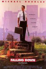 城市英雄 Falling Down