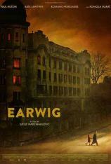 蠼螋 Earwig