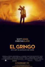 边境大逃亡 El Gringo