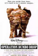 飞象计划 Operation Dumbo Drop