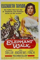 象宫鸳劫 Elephant Walk