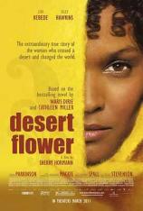 沙漠之花 Desert Flower