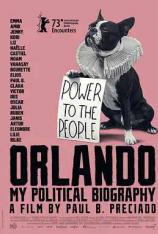 奥兰多：我的政治传记 Orlando, My Political Biography