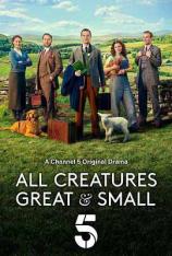 【美剧】万物生灵 第一季 All Creatures Great and Small Season 1