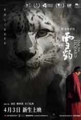 雪豹 Snow Leopard
